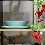 아파트 La Kikka House Near Cavour Station *